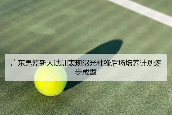 广东男篮新人试训表现曝光杜锋后场培养计划逐步成型